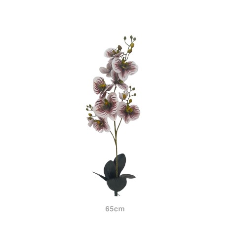 Haste Orquídea com 3 Folhas Verde / Branco 65cm - Image product