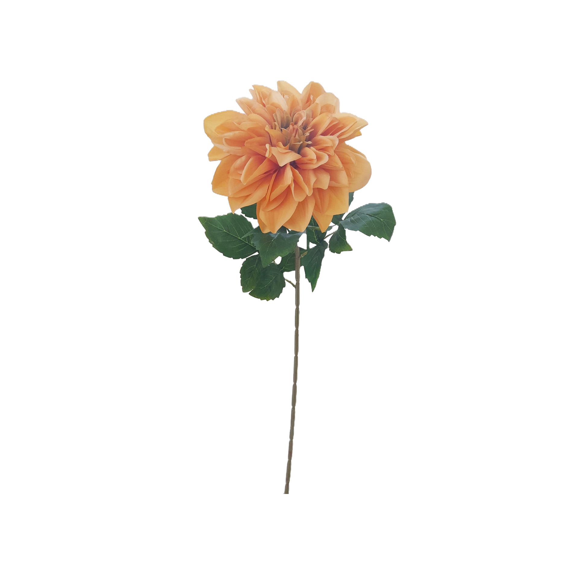 Haste Dália Salmão 70cm