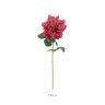 Haste Dlia Rosa 70cm