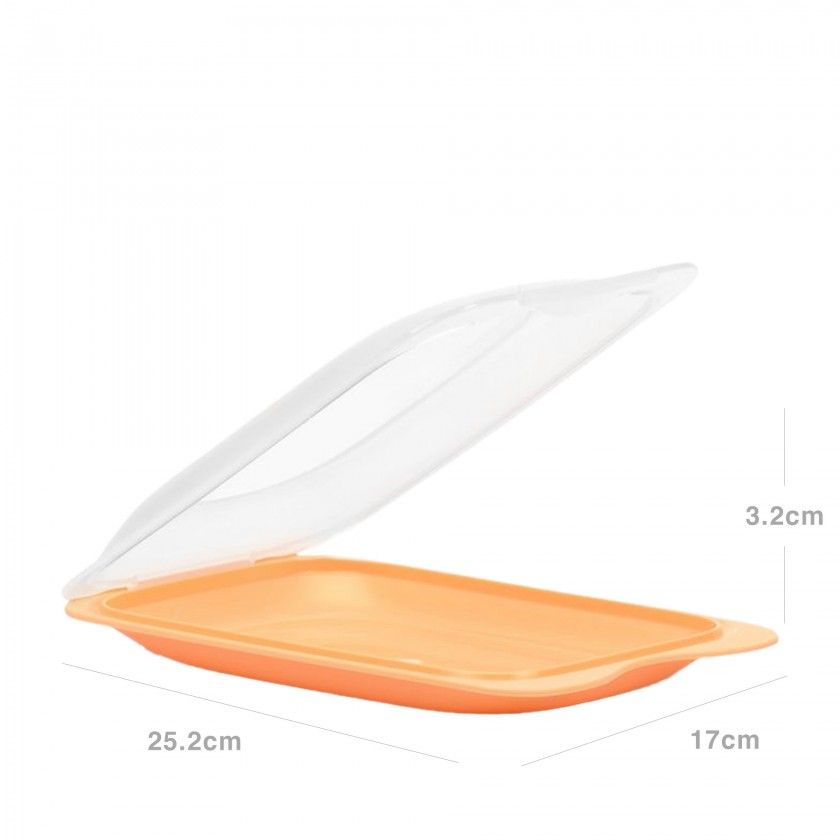 Caixa Hermtica Tatay Fresh Porta Charcutaria 25.2X17X3.2cm