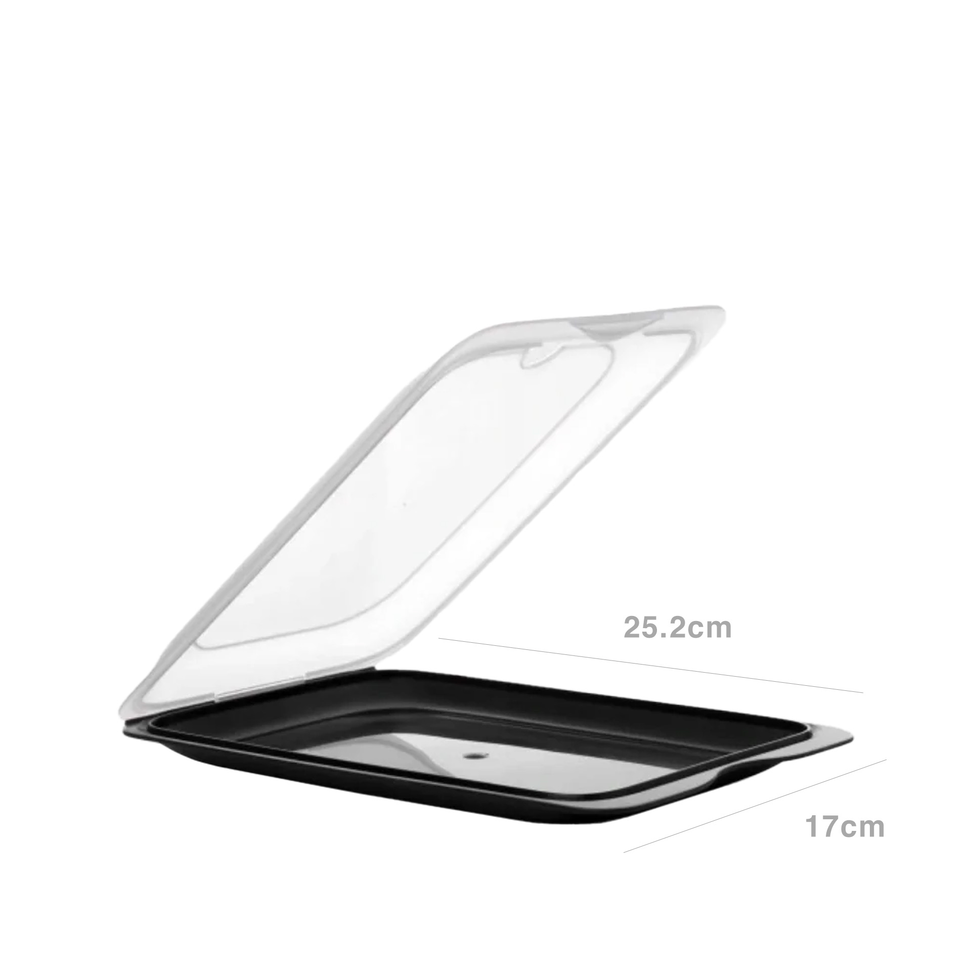 Caixa Hermética Tatay Cocktail Porta Fruta 17X25X5cm