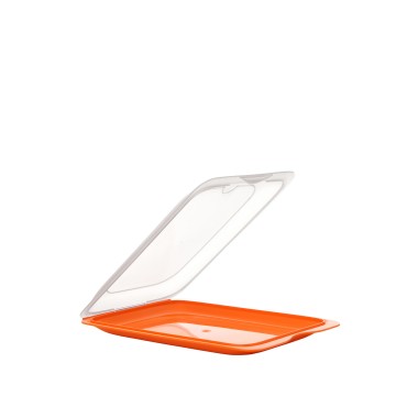 Caixa Hermética Tatay Fresh Porta Charcutaria 25.2X17X3.2cm