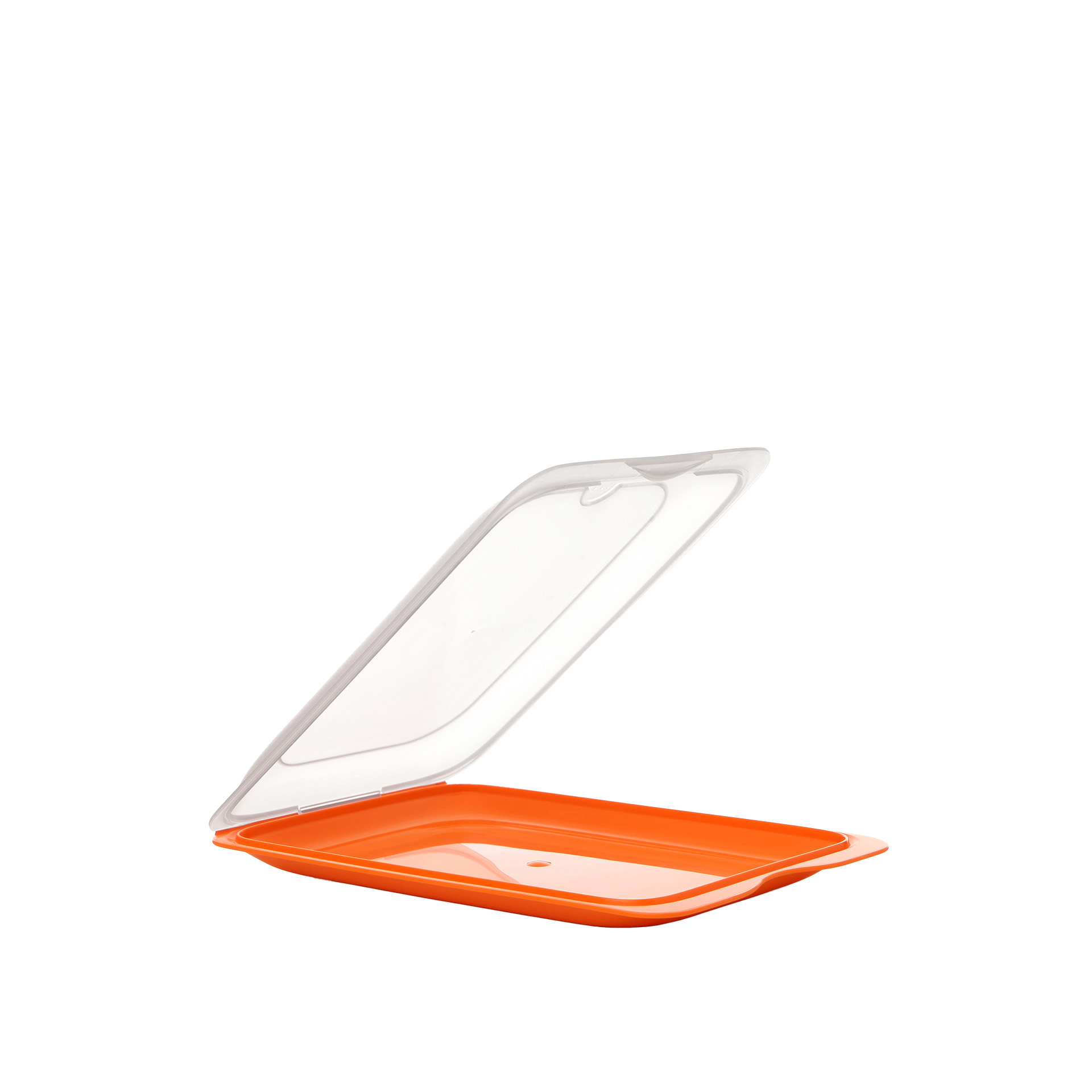 Caixa Hermética Tatay Fresh Porta Charcutaria 25.2X17X3.2cm