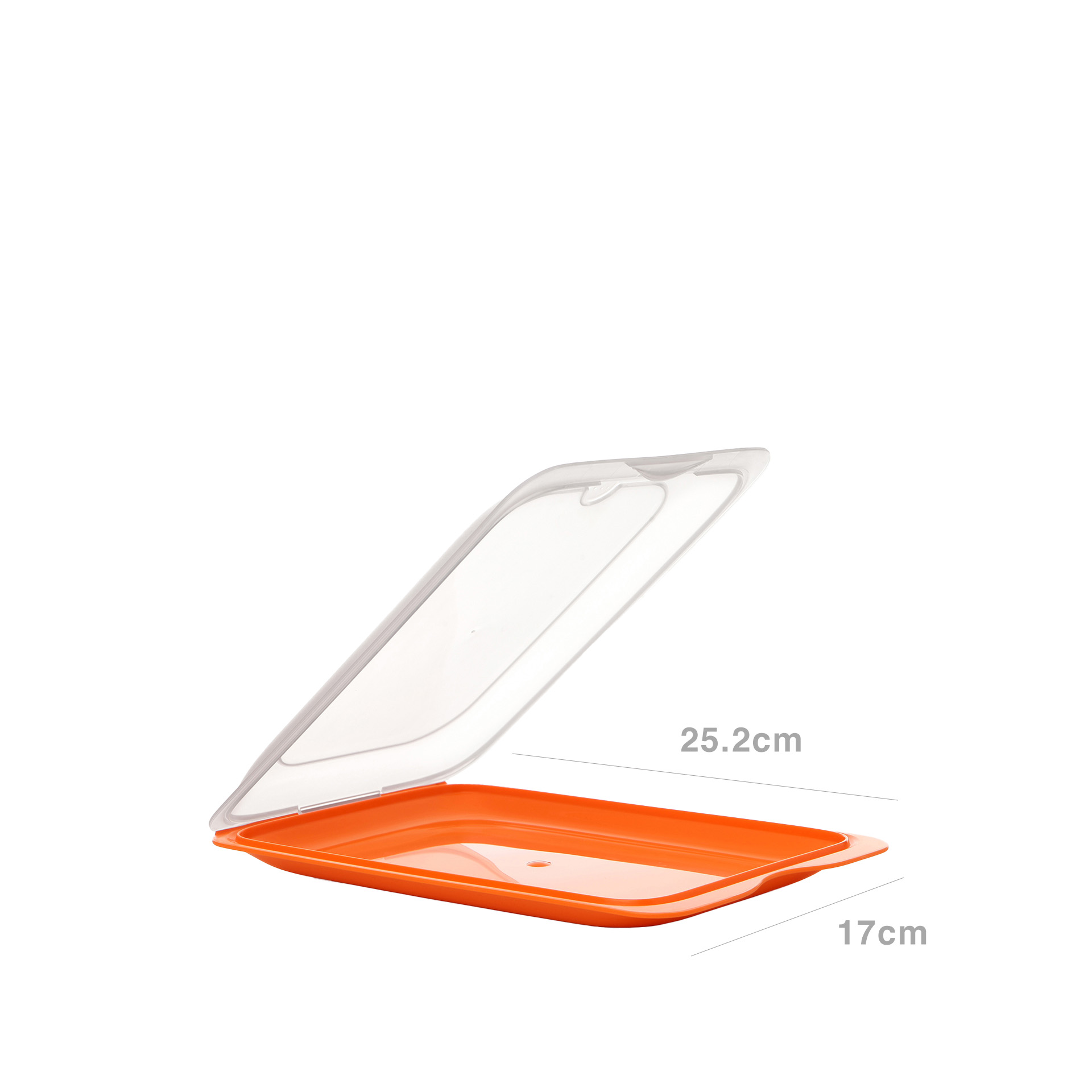 Caixa Hermética Tatay Fresh Porta Charcutaria 25.2X17X3.2cm