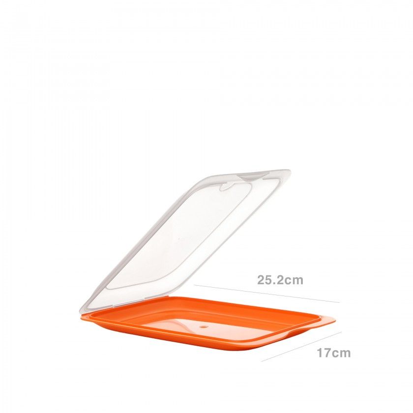 Caixa Hermtica Tatay Fresh Porta Charcutaria 25.2X17X3.2cm