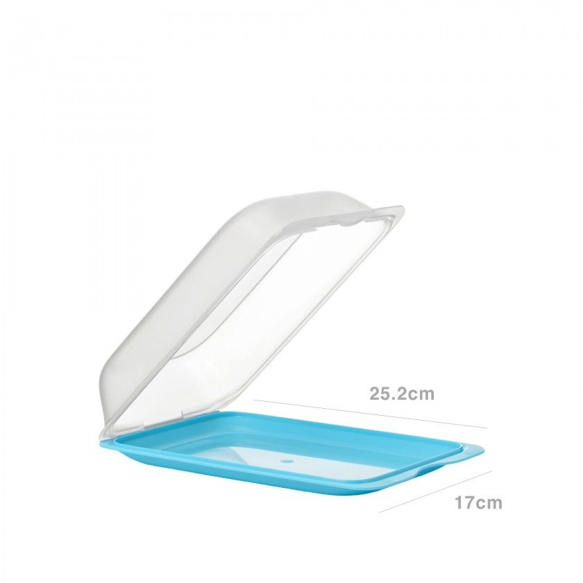 Caixa Hermética Tatay Fresh Porta Charcutaria 25X17X6cm Caixa Hermética Tatay Fresh Porta Charcutaria 25X17X6cm