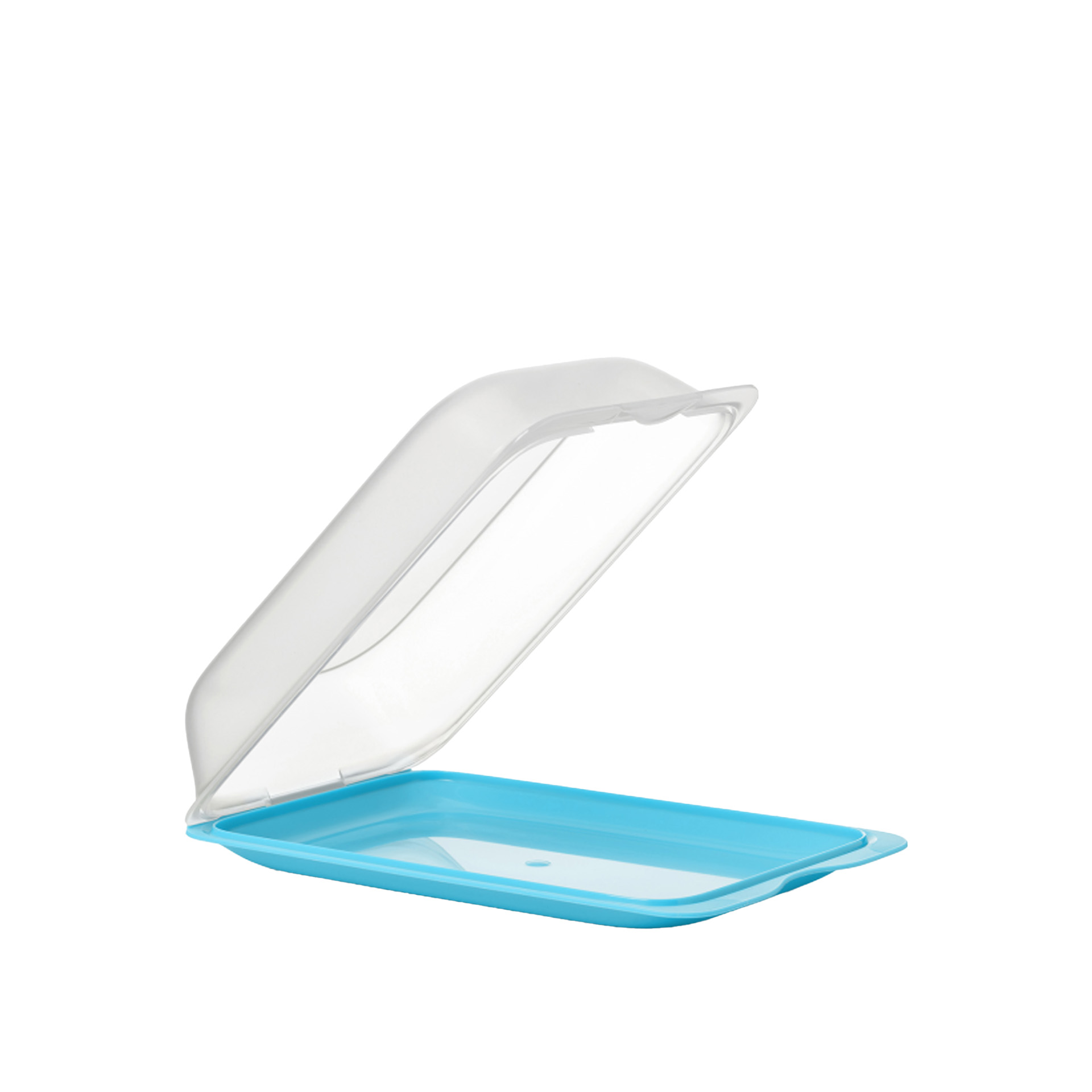 Caixa Hermética Tatay Fresh Porta Charcutaria 25X17X6cm