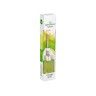 Ambientador Mikado Iber Garden Citronela 30ml