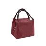 Bolsa Térmica Cores Sortidas 22X16X17cm Bolsa Térmica Cores Sortidas 22X16X17cm