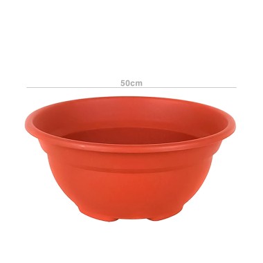 Taça Ciatola 50cm
