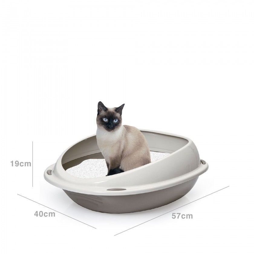 Caixa para Areia Gato Arena 57X40X19cm Caixa para Areia Gato Arena 57X40X19cm