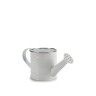 Regador Metal Fio Prata 750ml 11X24.5X11cm Regador Metal Fio Prata 750ml 11X24.5X11cm