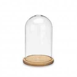 Campnula Decorativa Vidro Base Madeira 17X26.5cm
