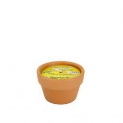 Vela Citronela Vaso Terracota Redondo 7cm