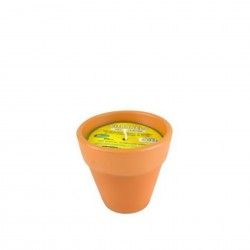 Vela Citronela Vaso Terracota Redondo 8cm