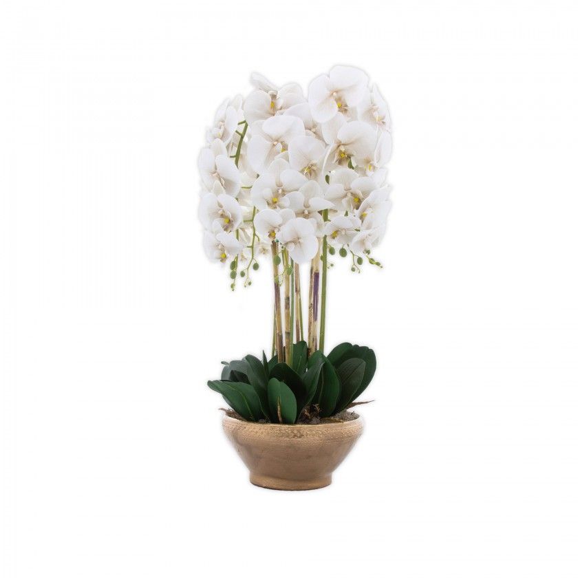 Vaso Decorativo Orqudea Cor Sortida 28X16.5X80cm