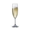Copo com P Lara Flute 22cl Pack 6