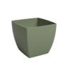 Verde Seco