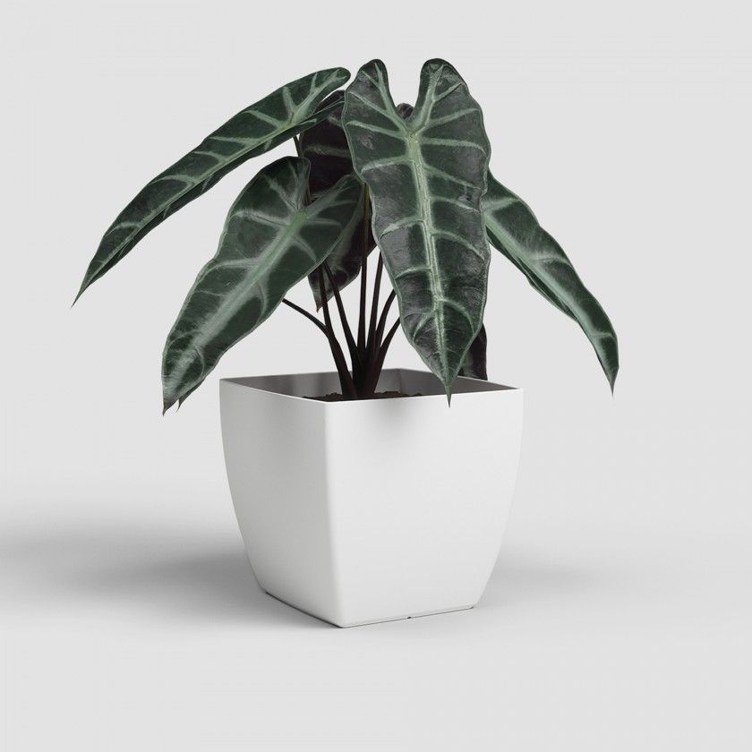 Vaso Siena Mate 40cm