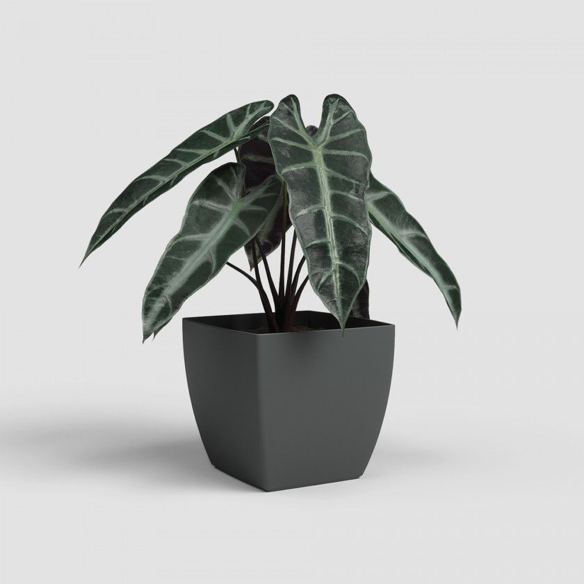 Vaso Siena Mate 30cm