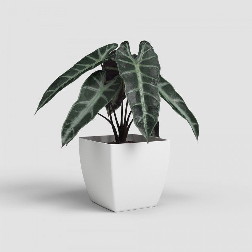 Vaso Siena Mate 30cm