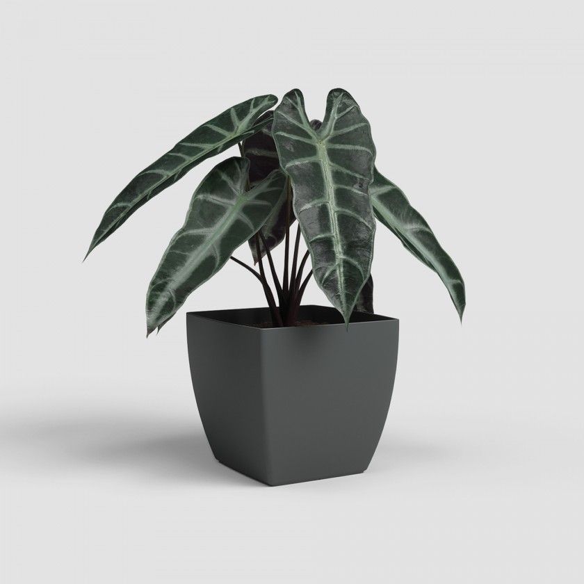 Vaso Siena Mate 20cm