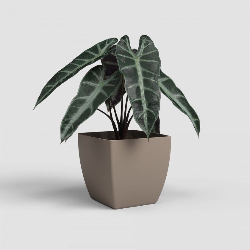 Vaso Siena Mate 20cm