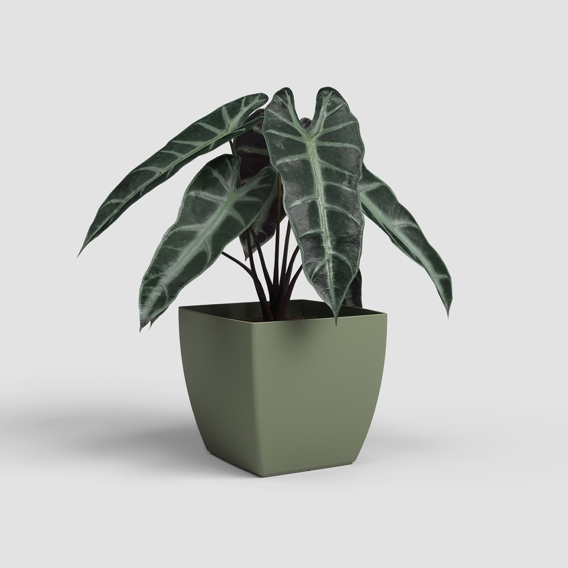 Vaso Siena Mate 20cm