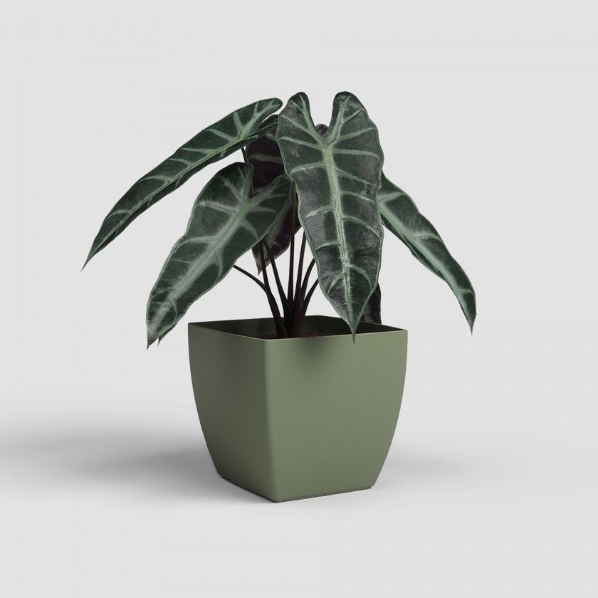 Vaso Siena Mate 20cm