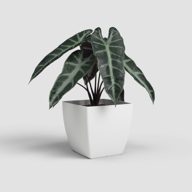 Vaso Siena Mate 20cm