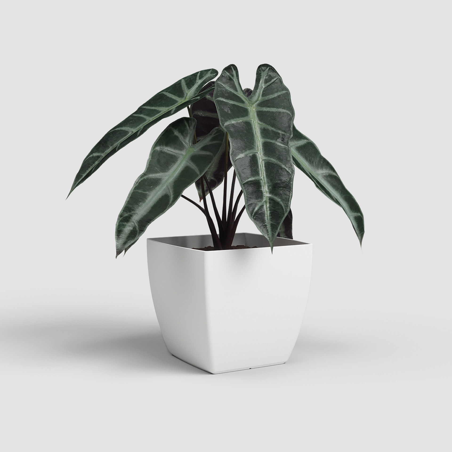 Vaso Siena Mate 20cm