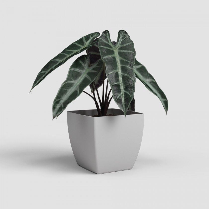 Vaso Siena Mate 20cm