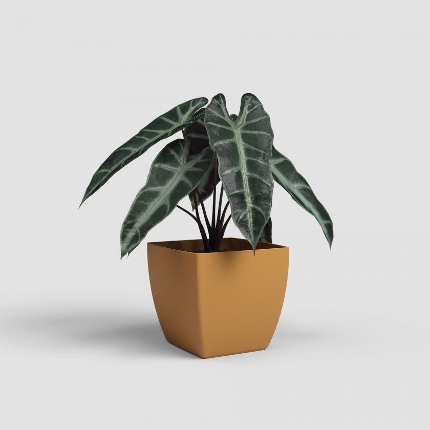 Vaso Siena Mate 14cm