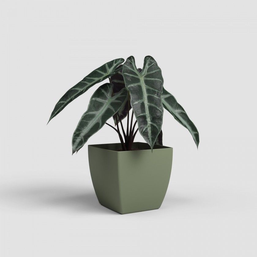 Vaso Siena Mate 14cm