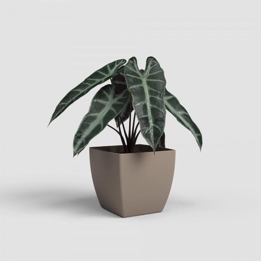 Vaso Siena Mate 14cm Vaso Siena Mate 14cm