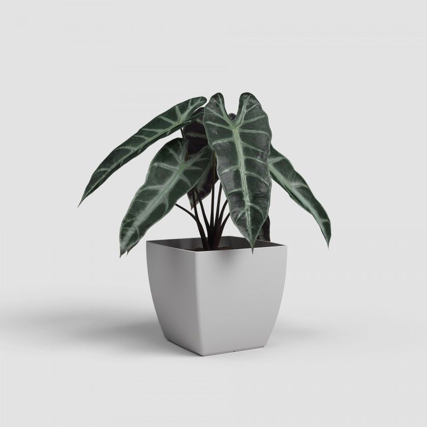 Vaso Siena Mate 14cm