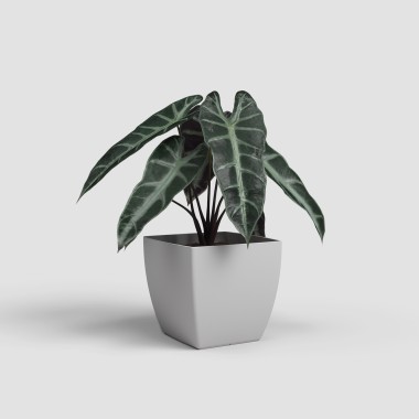 Vaso Siena Mate 14cm