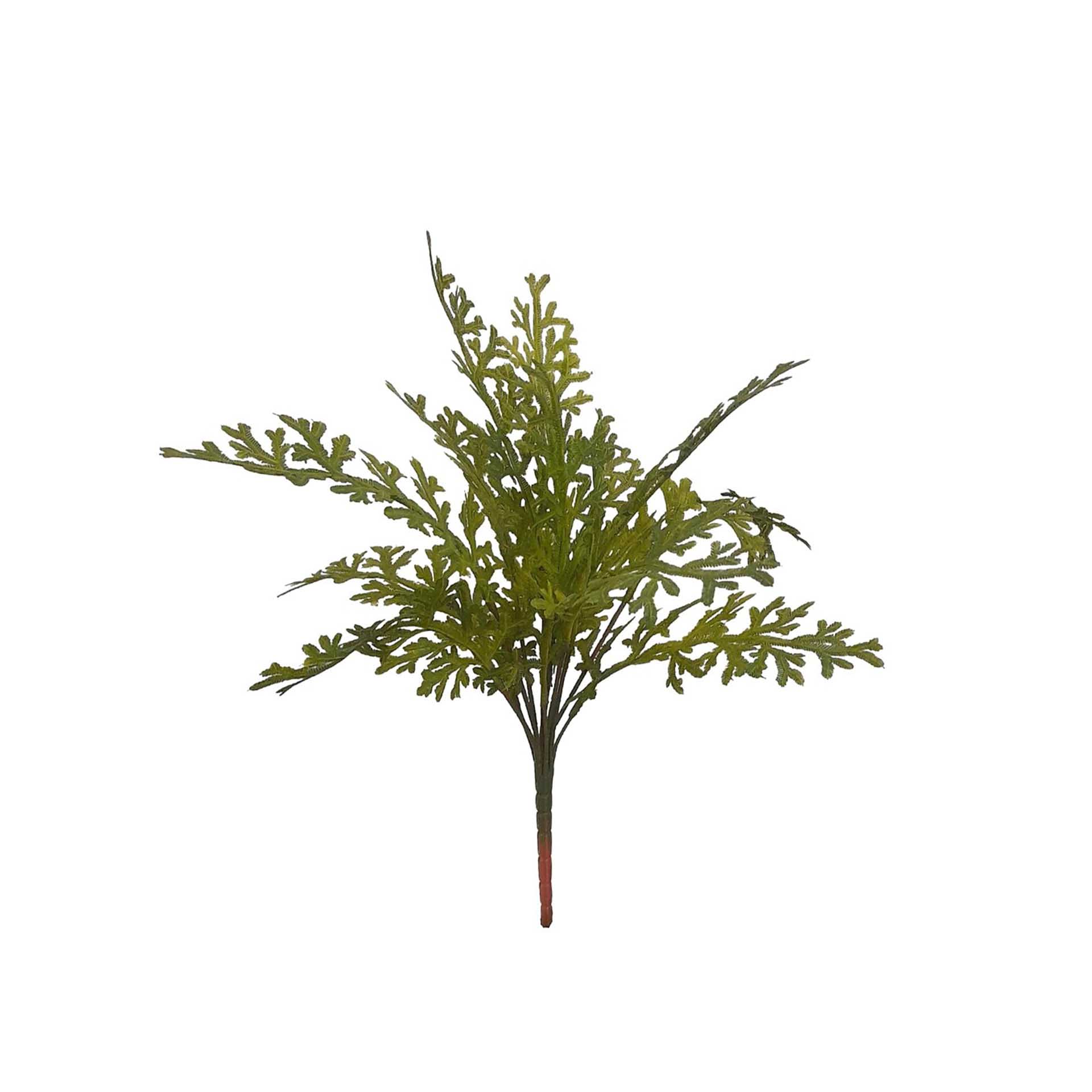 Ramo Selaginella 40cm