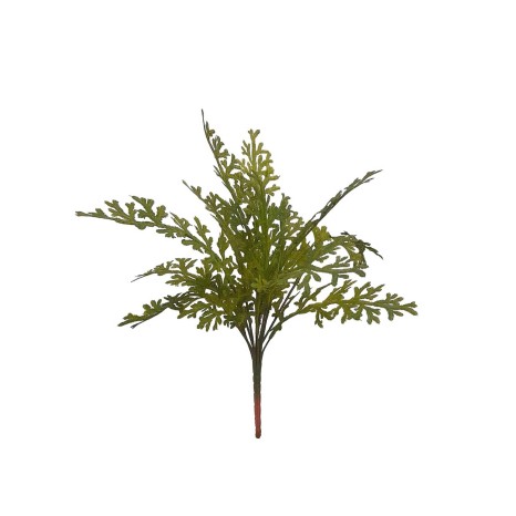 Ramo Selaginella 40cm - Image product