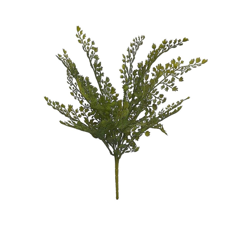 Ramo Avenca 40cm