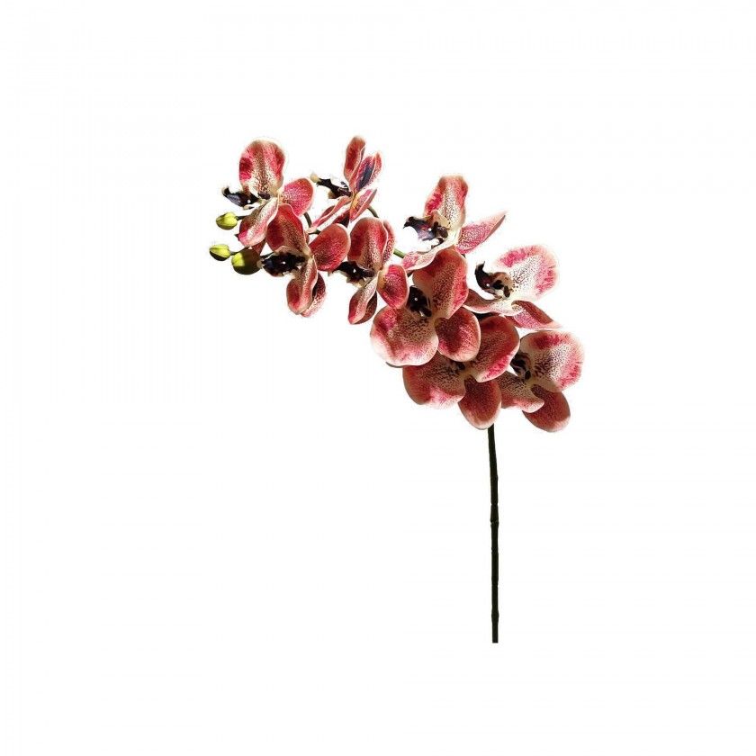 Haste Orquídea Laranja 90cm Haste Orquídea Laranja 90cm