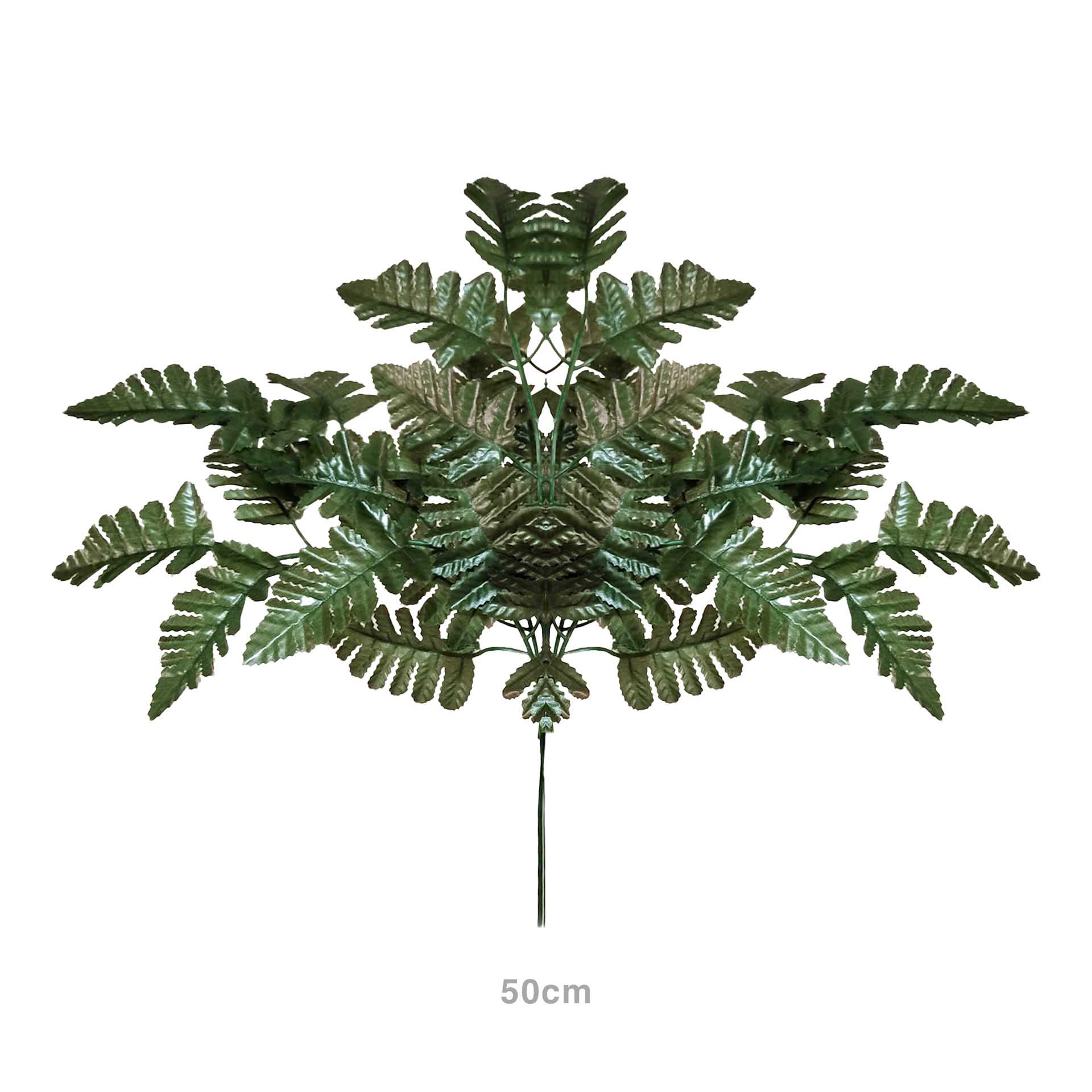 Haste Fetos 50cm Pack 6