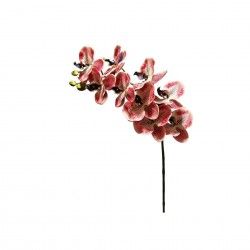 Haste Orquídea Laranja 90cm Haste Orquídea Laranja 90cm