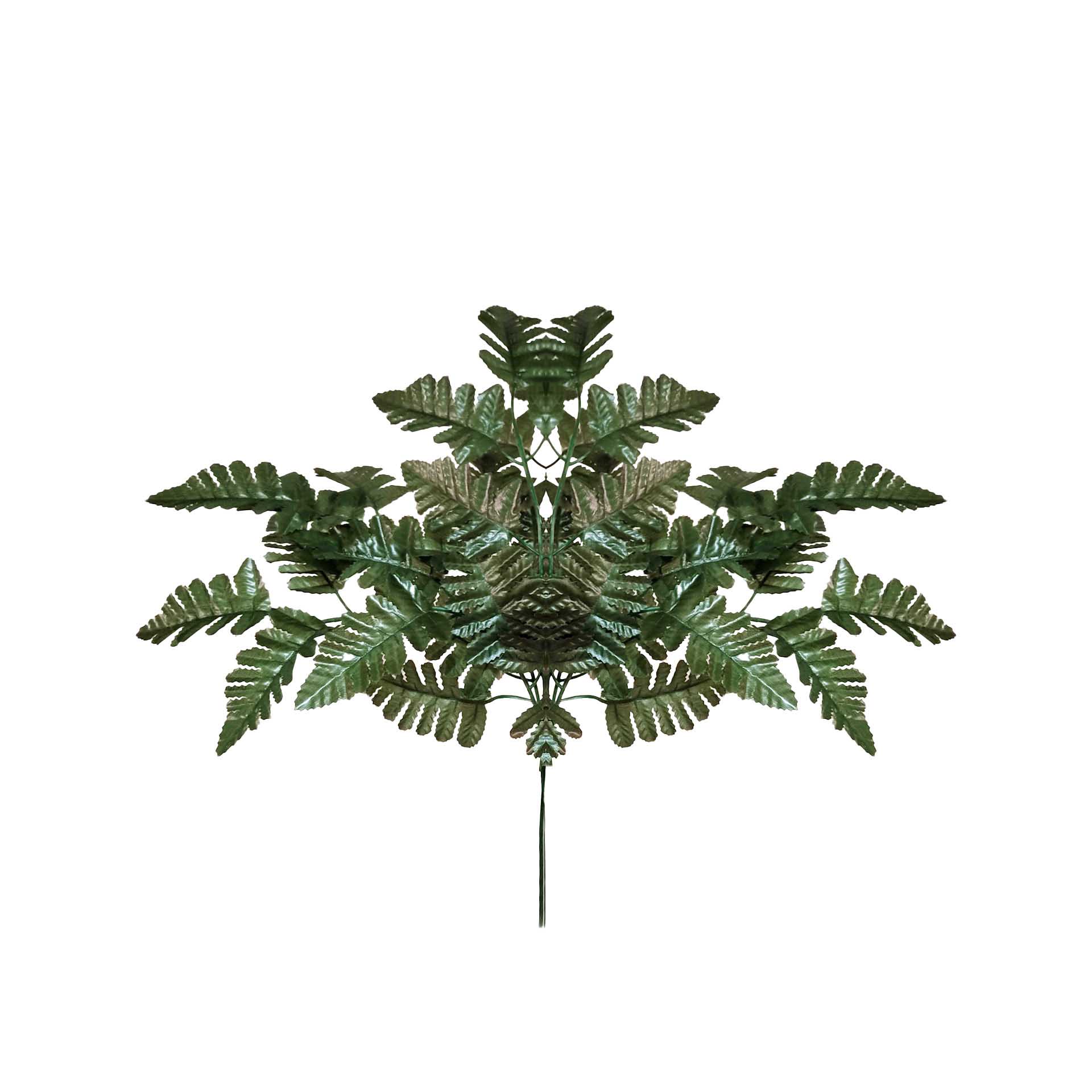 Haste Fetos 50cm Pack 6