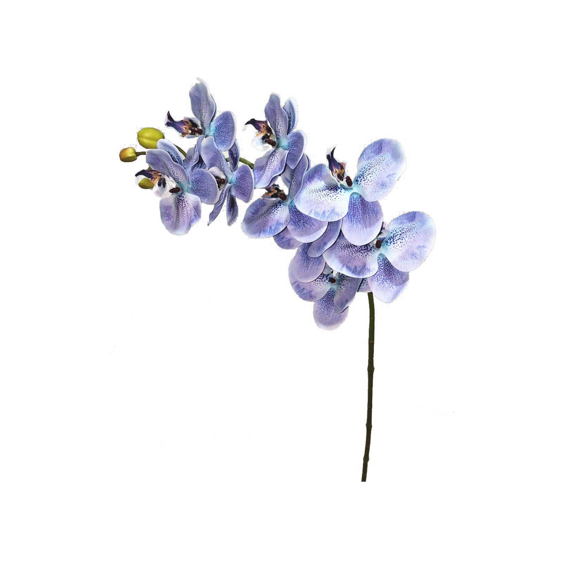 Haste Orquídea Azul 90cm