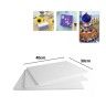 Esferovite Placa Retangular 40X30cm Pack 3 Esferovite Placa Retangular 40X30cm Pack 3