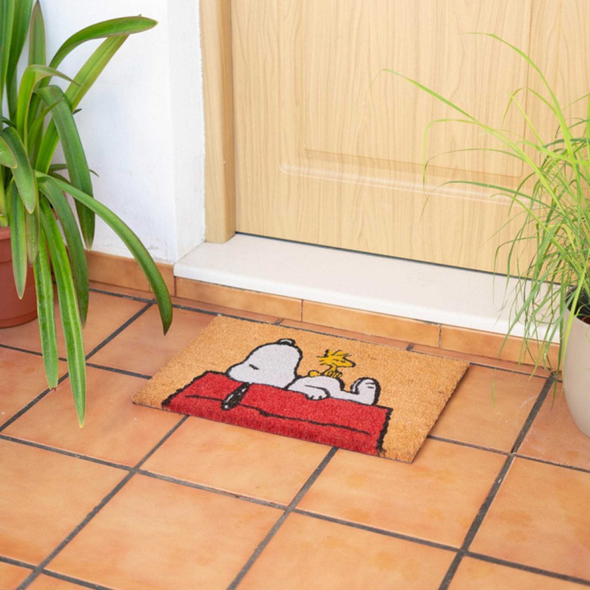 Tapete Fibra Coco / Pvc Snoopy 40X60cm