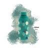 Garrafa Água Inox Peppermint 500ML Garrafa Água Inox Peppermint 500ML