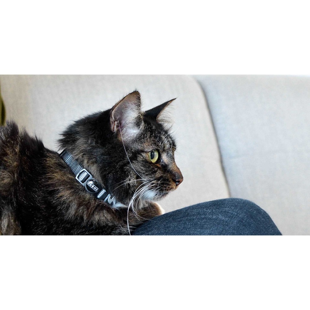 Coleira Gato Dashi Solid Cinzento