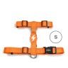 Arnes Dashi Solid Colors Laranja S Arnes Dashi Solid Colors Laranja S